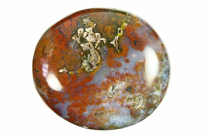 Polished Ocean Jasper Stone - New Deposit #297222